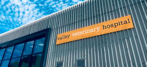 valley vets out of hours.